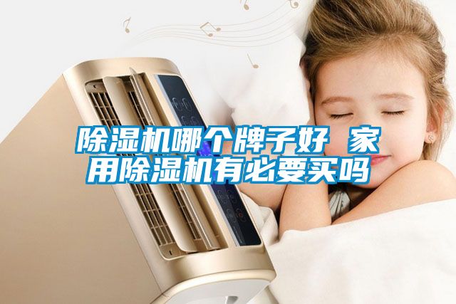 除濕機(jī)哪個牌子好 家用除濕機(jī)有必要買嗎