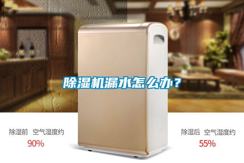 除濕機(jī)漏水怎么辦？