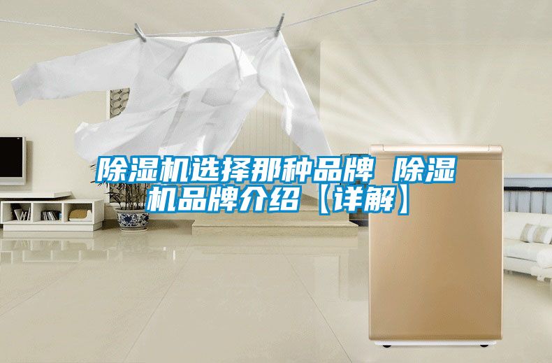 除濕機(jī)選擇那種品牌 除濕機(jī)品牌介紹【詳解】