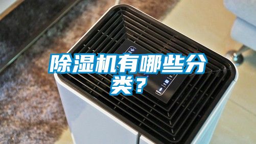 除濕機(jī)有哪些分類(lèi)？