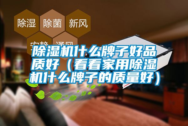 除濕機什么牌子好品質(zhì)好（看看家用除濕機什么牌子的質(zhì)量好）
