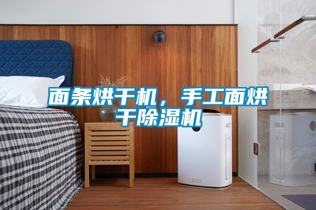 面條烘干機(jī)，手工面烘干除濕機(jī)