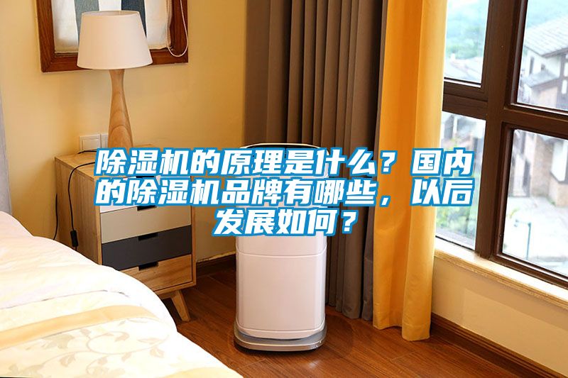 除濕機(jī)的原理是什么？國內(nèi)的除濕機(jī)品牌有哪些，以后發(fā)展如何？