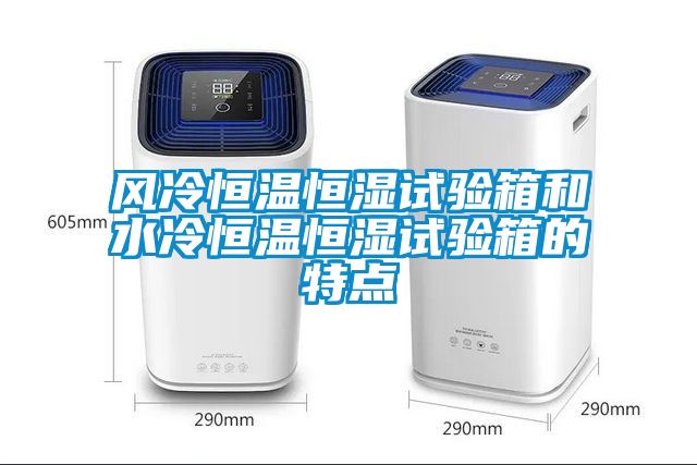 風(fēng)冷恒溫恒濕試驗(yàn)箱和水冷恒溫恒濕試驗(yàn)箱的特點(diǎn)