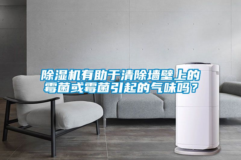 除濕機(jī)有助于清除墻壁上的霉菌或霉菌引起的氣味嗎？