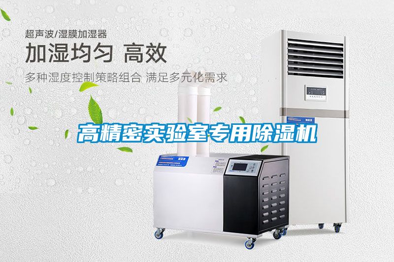 高精密實(shí)驗(yàn)室專(zhuān)用除濕機(jī)