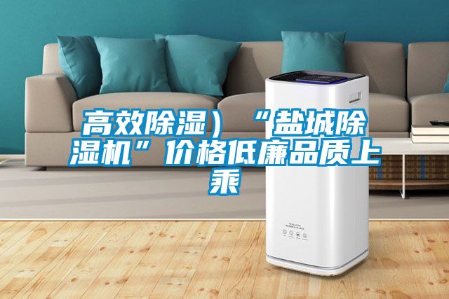 高效除濕）“鹽城除濕機(jī)”價格低廉品質(zhì)上乘