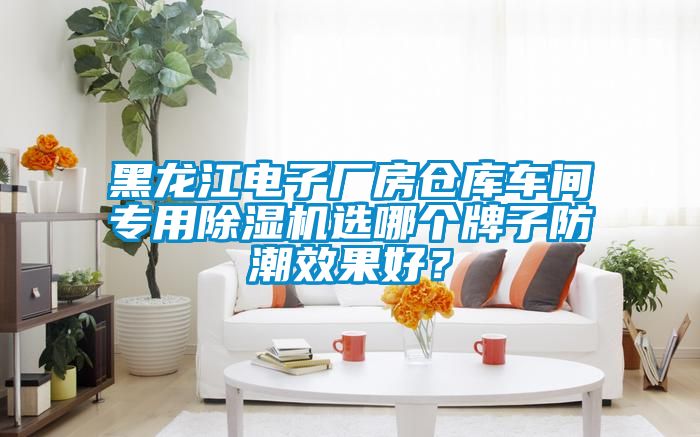 黑龍江電子廠房倉庫車間專用除濕機選哪個牌子防潮效果好？