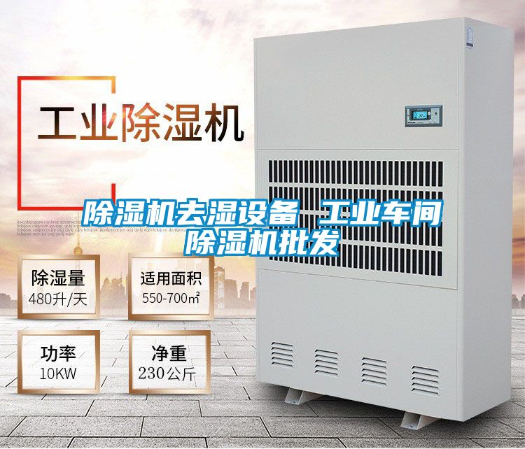 除濕機(jī)去濕設(shè)備 工業(yè)車間除濕機(jī)批發(fā)