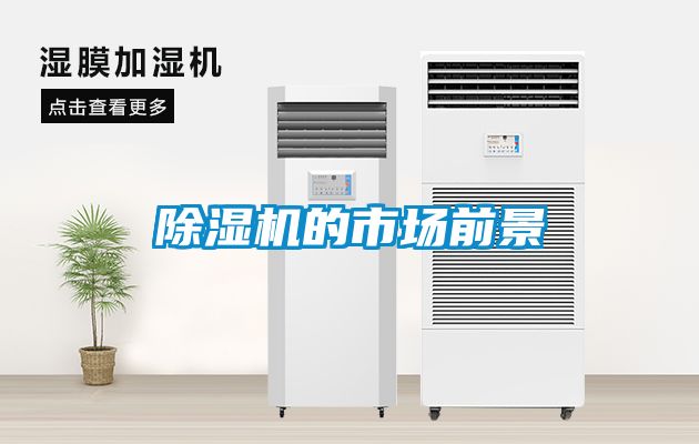 除濕機(jī)的市場前景