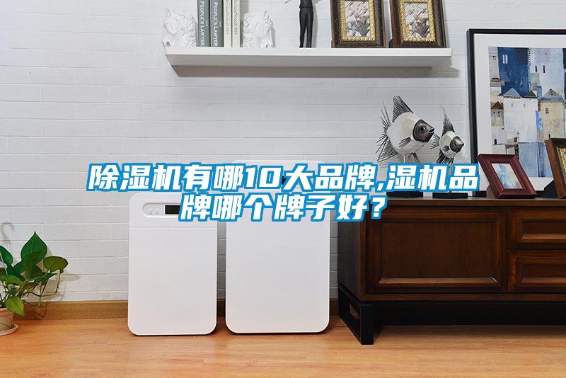 除濕機有哪10大品牌,濕機品牌哪個牌子好？