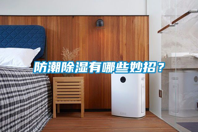 防潮除濕有哪些妙招？