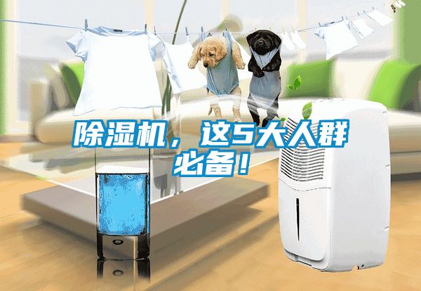 除濕機，這5大人群必備！