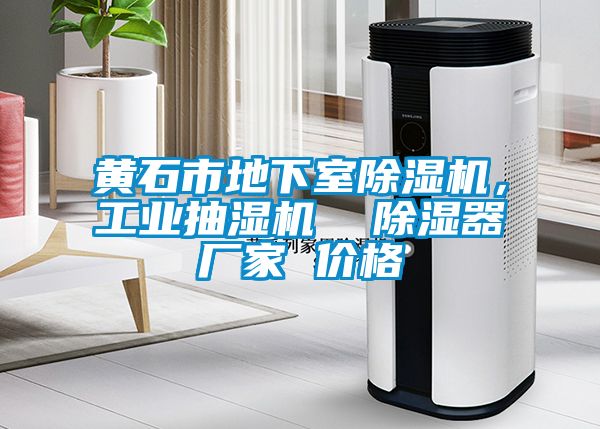 黃石市地下室除濕機，工業(yè)抽濕機  除濕器廠家 價格
