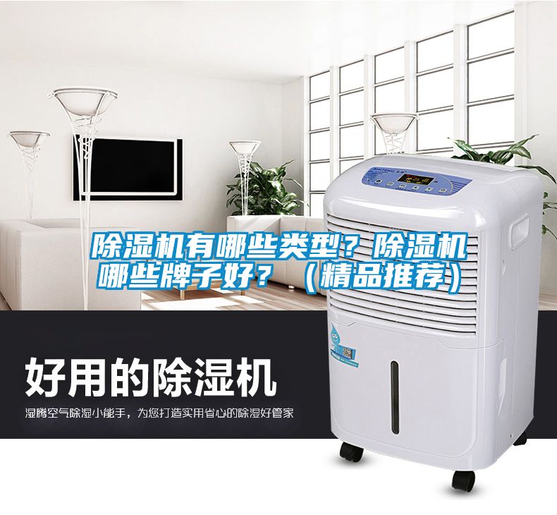 除濕機(jī)有哪些類(lèi)型？除濕機(jī)哪些牌子好？（精品推薦）