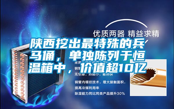 陜西挖出最特殊的兵馬俑，單獨陳列于恒溫箱中，價值超10億