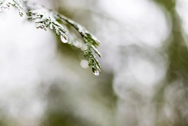 空氣濕度大帶來的危害有哪些，你知道嗎？