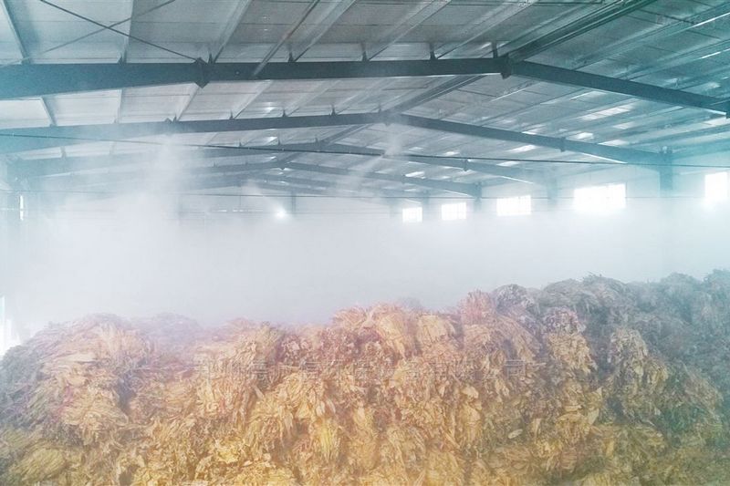 提升煙葉加工質(zhì)量，高效回潮很重要 煙葉除濕機